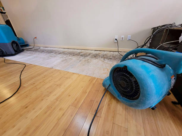 Professional Water Damage Repair technician working in Hopkins, SC